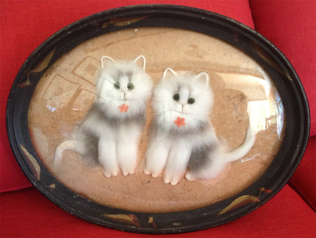 Fluffy Cats In Frame